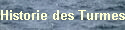 Historie des Turmes 